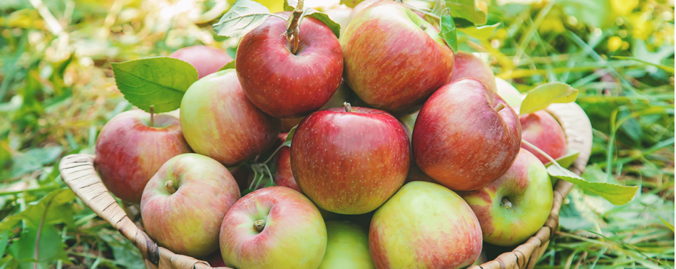 Manzana Royal Gala 26 7/8 Pzas Kg | Chef Fruit