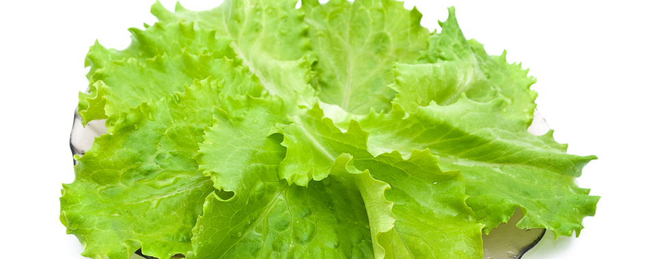 Lechuga Batavia Troceada 500Gr | Chef Fruit