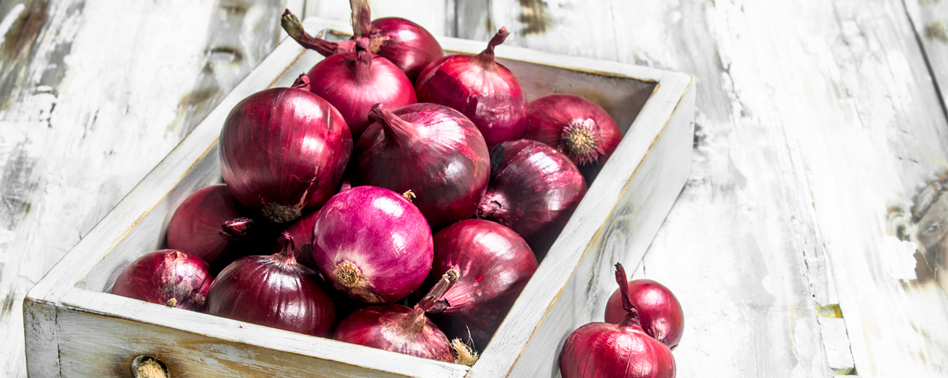 Cebolla Roja | Chef Fruit