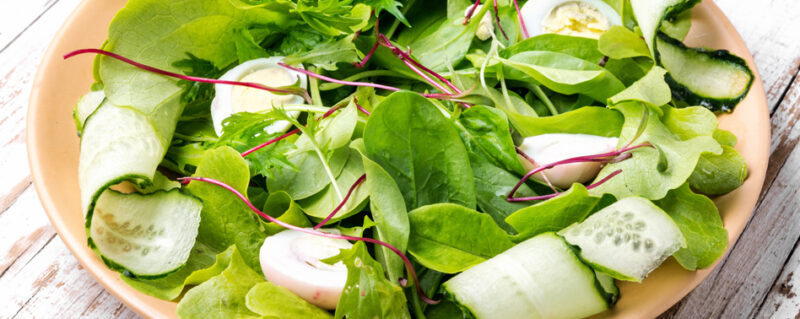 Ensalada Campestre 500Gr Primaflor | Chef Fruit Ensalada Campestre 500Gr Primaflor | Chef Fruit