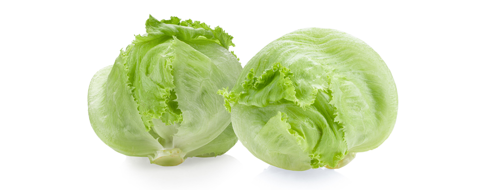 Lechuga Iceberg L24 4 Gama | Chef Fruit