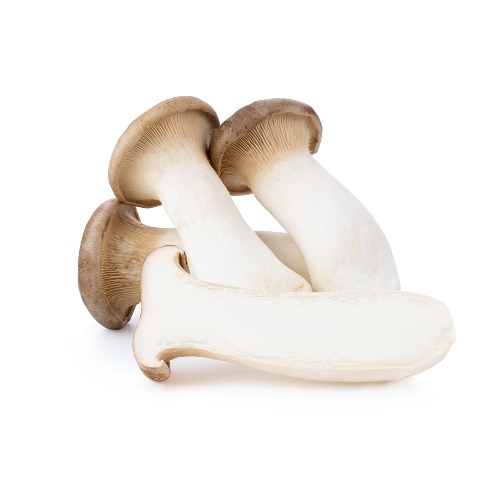 Seta Eryngii (Boletus Cultivo) | Chef Fruit