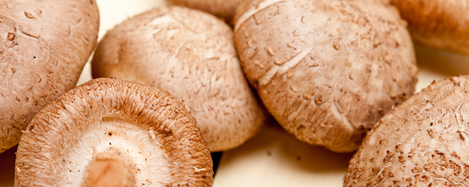 Seta Shiitake (Por Kg) | Chef Fruit