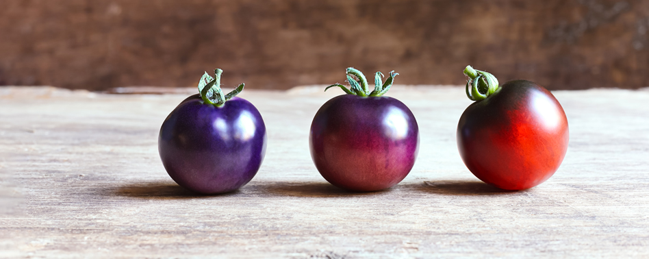 Tomate Mar Azul | Chef Fruit