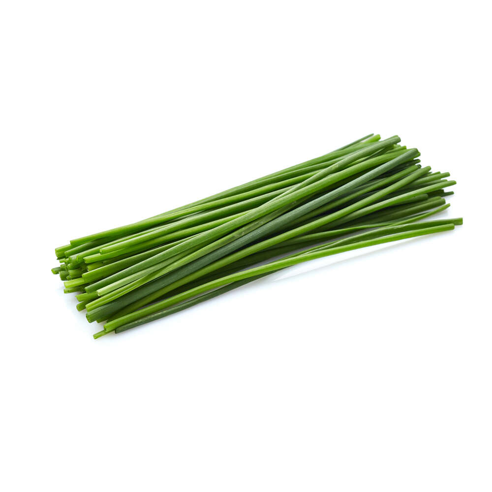 Cebollino Chino-Chive Granel-Ajete Chino | Chef Fruit