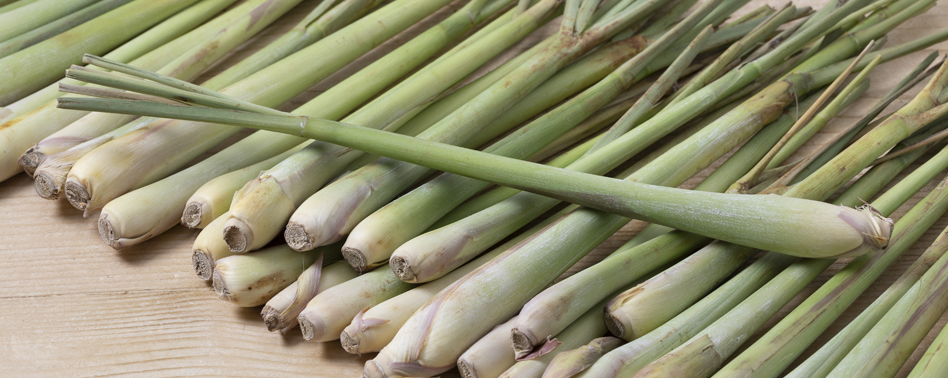 Citronela-Lemongrass-Caña Santa Granel | Chef Fruit