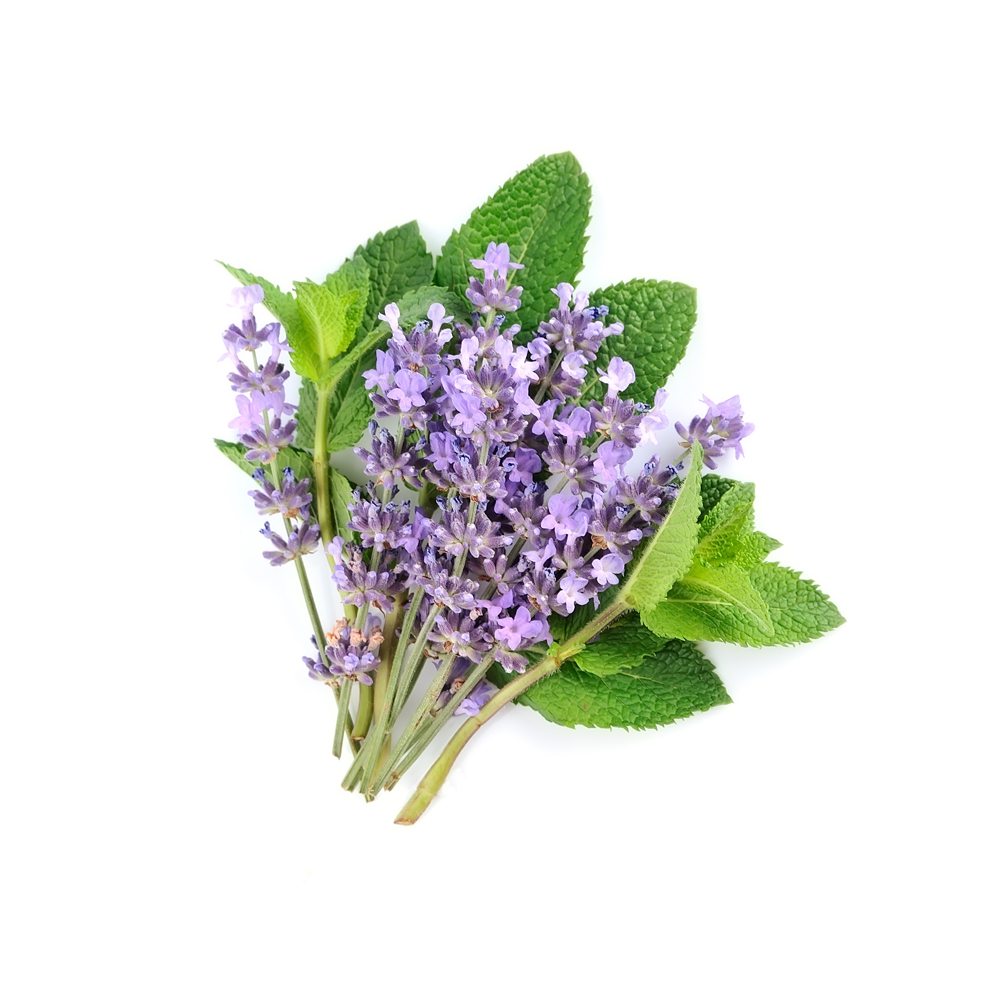 Flor de Lavanda | Chef Fruit