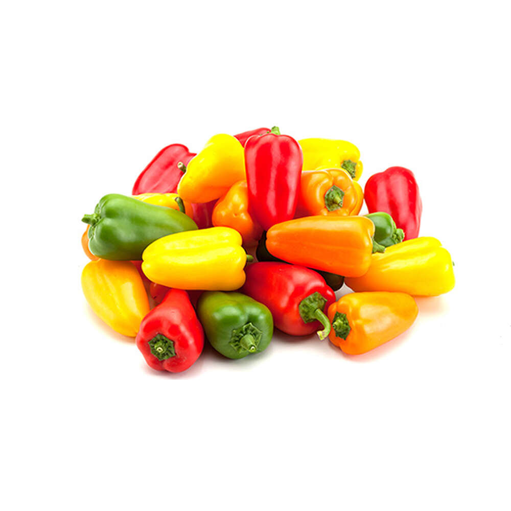 Mini Pimiento Tricolor (Aji Dulce) | Chef Fruit