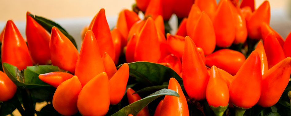 Aji Amarillo Congelado 500Gr | Chef Fruit