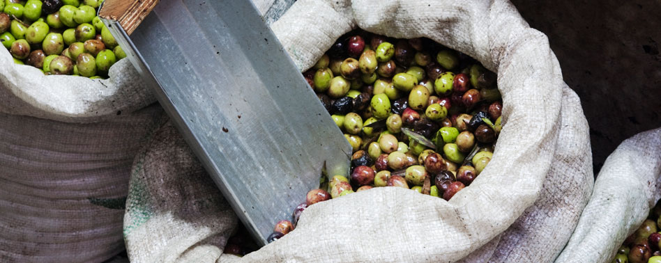 Aceituna Partida de la Abuela 5Kg | Chef Fruit