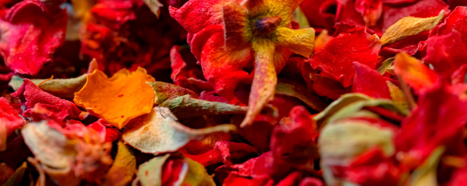 Flor Deshidratada - Pétalos Rosas Rojos | Chef Fruit