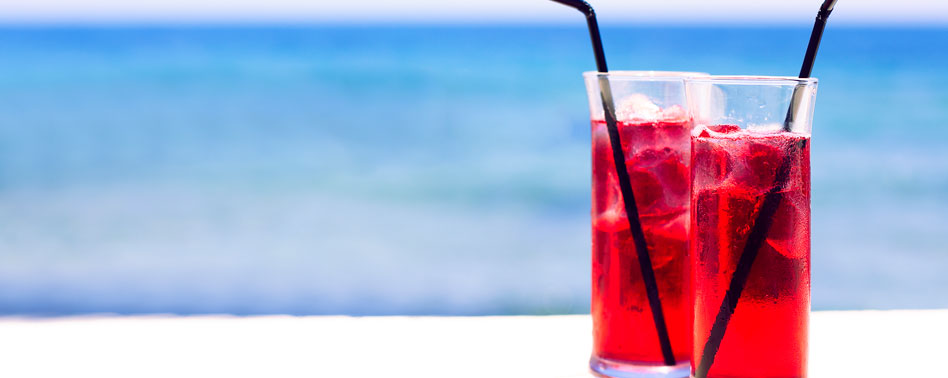 Tinto de Verano La Casera 33Cl Alcohol (M) | Chef Fruit