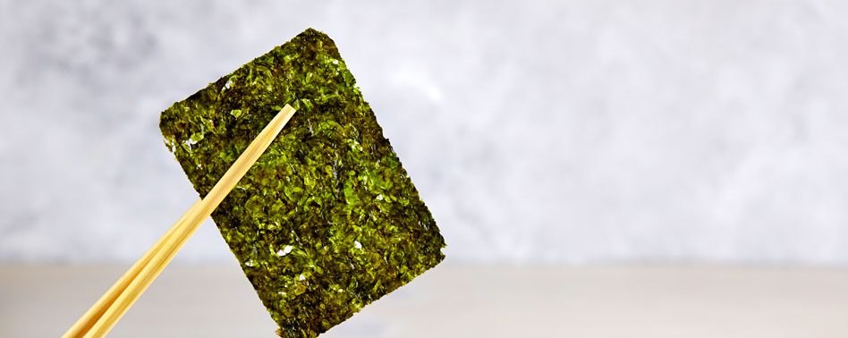 Alga Nori (M) | Chef Fruit